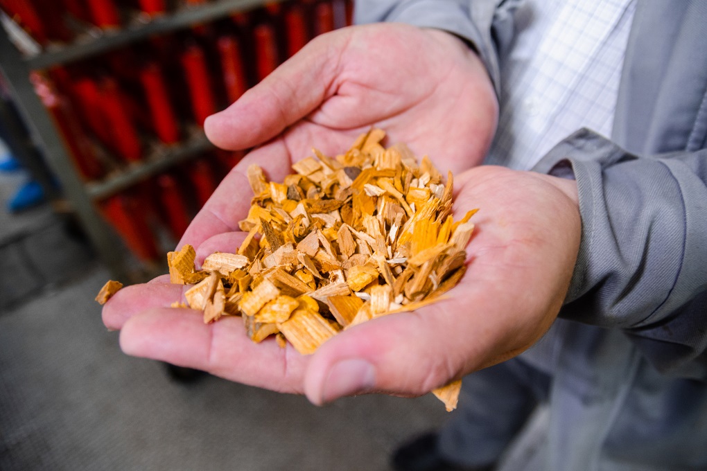 Holding a handful of wood chips for smoking