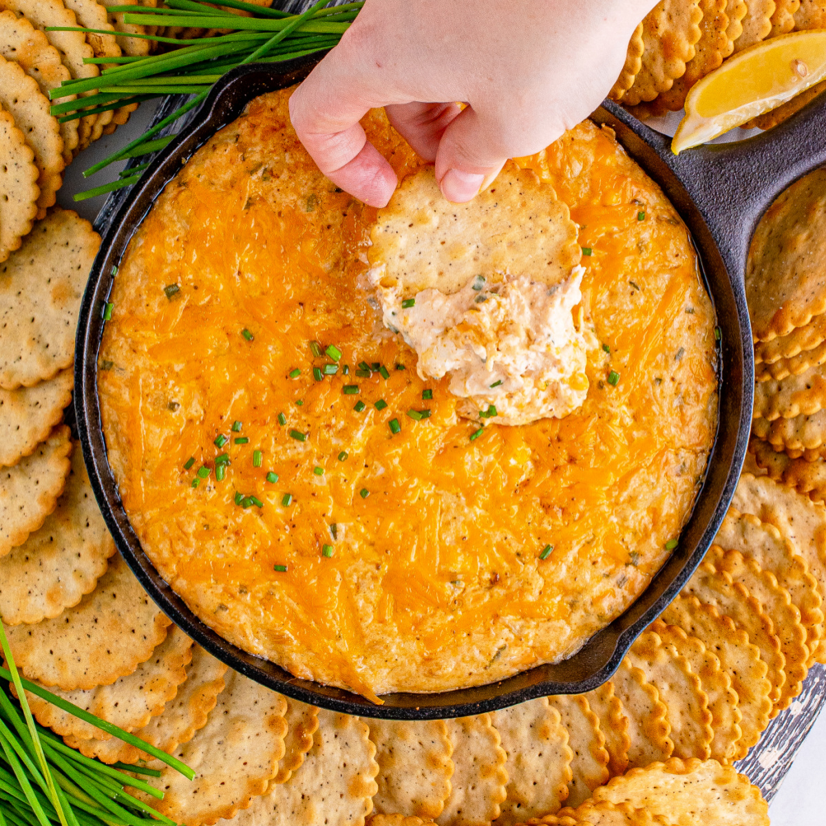Smoked crab dip with a cracker scooping up a big bite of dip.