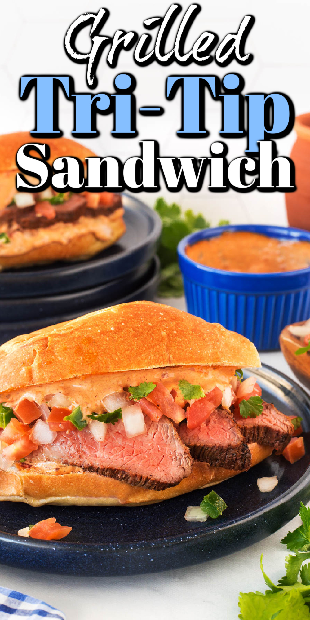 This Grilled Tri-tip or Santa Maria Sandwich with pico de gallo and chipotle mayo is absolutely amazing!